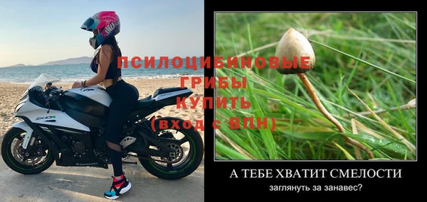 дмт Алзамай