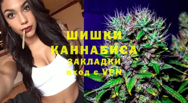 дмт Алзамай
